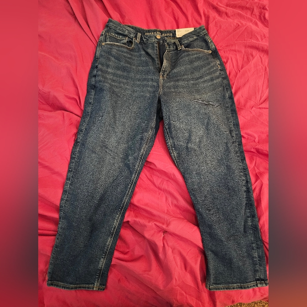 American Eagle Curvy Mom Jean 12 Short